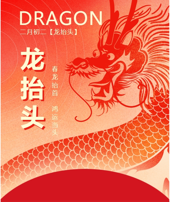 二月二龍?zhí)ь^，春龍振翅鴻運(yùn)啟 —— 佳木斯網(wǎng)云信息科技有限公司與您共迎新春盛景
